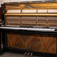 Pianoland 