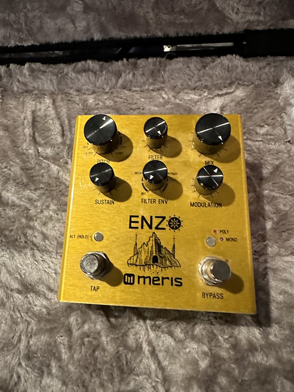 Meris Enzo - Multi-Voice Synthesizer Pedal image 1