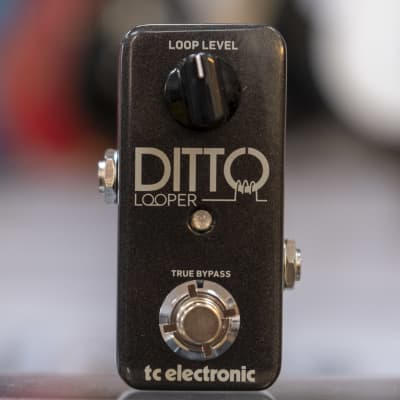 TC Electronic Ditto Looper for sale