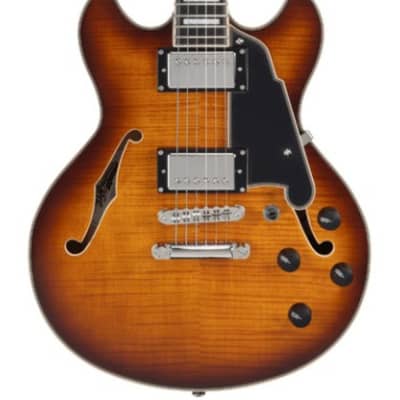 D'Angelico DAPMDCDITBNS Premier Mini DC Dark Iced Tea Burst image 3