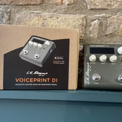 LR Baggs Voiceprint DI Acoustic Guitar Impulse Response