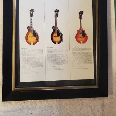 1966 Gibson Guitars Color Promotional Ad Framed F-5, F-12 & A-5 Mandolins Original for sale