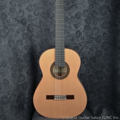 Raimundo Tatyana Ryzhkova Signature model, Cedar top  classical guitar for sale