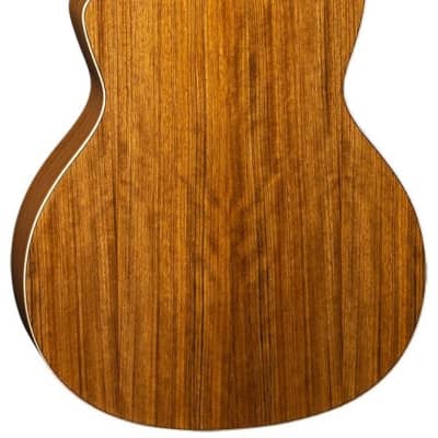 Luna Vista Bear Tropical Wood Acoustic-Electric Bass image 3