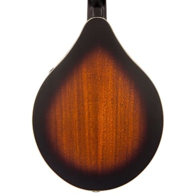 Vintage Pilgrim Redwood – A-Style Electro-Acoustic Mandolin 'F' Holes image 3