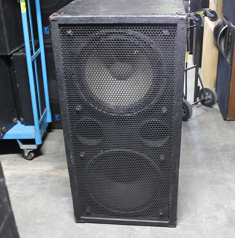 Custom Built 2x18 Sub 1600 Watt RMS Reverb