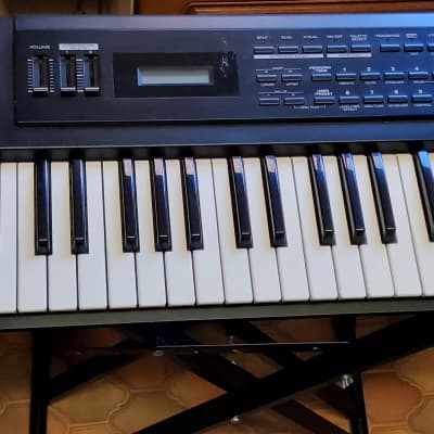 Roland XP-10 61-Key Multi-Timbral Synthesizer