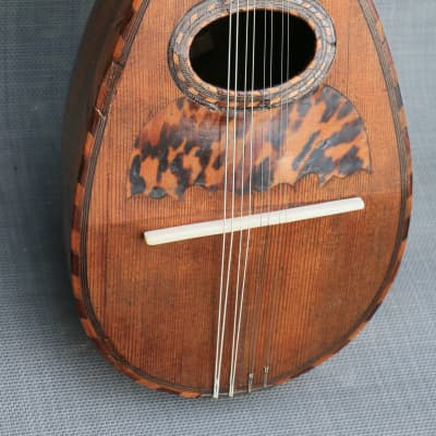 MANDOLIN ANTIQUE ITALIAN BOWLBACK ‘IL GLOBO’ 1890s ITALY image 22