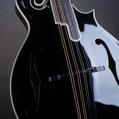Bourgeois M5-F-BT Black Top Aged F-style mandolin Brand New image 4