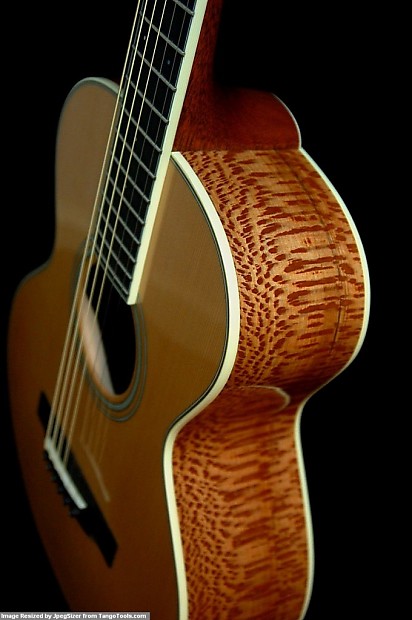 RARE Santa Cruz Firefly Cedar Ocelot Sycamore Great Price