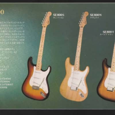 Greco SE 800 stratocaster Made in Japan Fujigen 1978 | Reverb