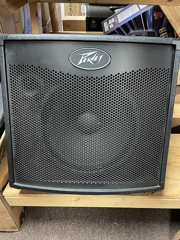 Peavey TNT-115 600Watt Combination Bass Amp & 15 inch speaker--LOUD!!!