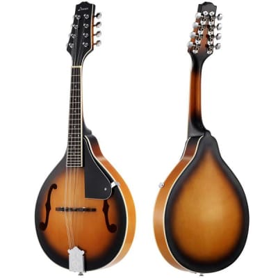 A Style Mandolin Instrument Sunburst Mahogany DML-1 With Tuner String Big Bag and Guitar Picks image 2