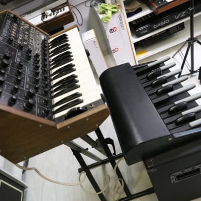 Korg MS-20 with foot controller and wood sides