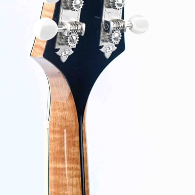 Bourgeois M5A Aged Tone Natural image 6