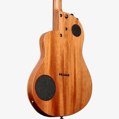 Rick Turner Classic Series Renaissance RS6 Cedar / Mahogany #5935 image 4