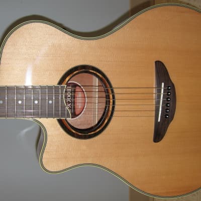 Takamine TSP138C Thinline Acoustic Electric Guitar Natural