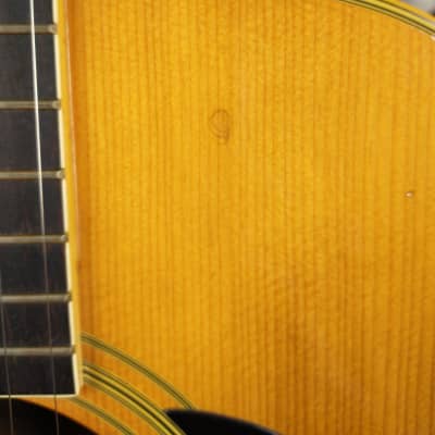 Morales Lyre Bird M-18 Japan Acoustic Guitar w/ Chipboard Case image 7
