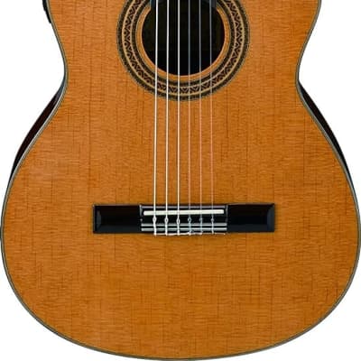 Ibanez 6 String Classical Guitar, Right, Natural (GA6CE) for sale