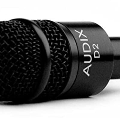 Audix D2 Hypercardioid Dynamic Microphone, 56% OFF