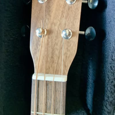 Ashbury AT-24 Tenor Guitar image 5