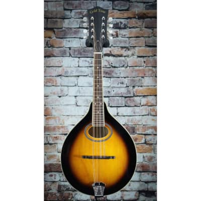 Gold Tone GM-50+ A-Style Mandolin With Pickup image 2