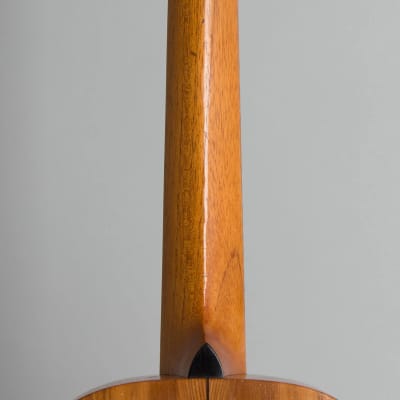 Washburn Style E Flat Top Acoustic Guitar, made by Lyon & Healy (1923-5), black hard shell case. image 13