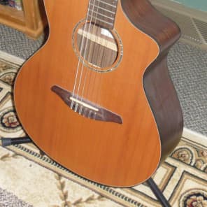Breedlove AN 250 / CR  Natural image 1