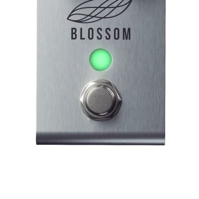 Reverb.com listing, price, conditions, and images for jackson-audio-blossom