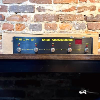 Tech 21 MIDI Mongoose | Reverb