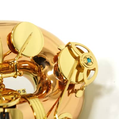 Free shipping! 【Special price】 Yanagisawa T-WO2(TWO2) Bronze Tenor Saxophone image 10