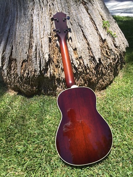 Taylor shop guitars ukulele