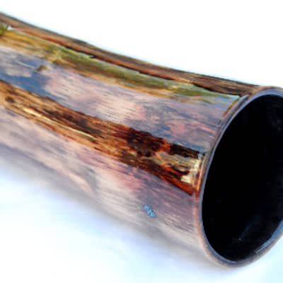 Custom Handmade Didgeridoo - Agave (Key B) 2022 Earth Tones image 2