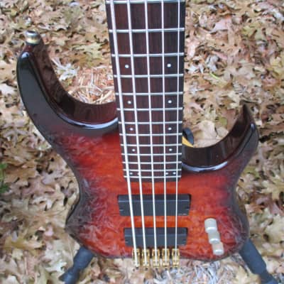 Bunker 5-string bass w/Fender hardshell case image 4