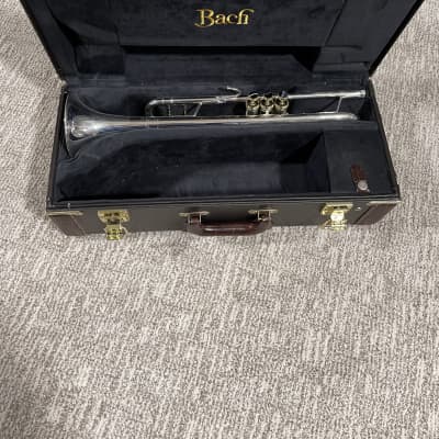 Bach 37 Stradivarius Bb Trumpet Silver with Onyx and Gold Trim image 1
