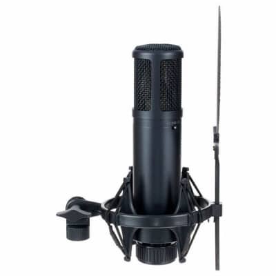 sE Electronics sE2200 | Large Diaphragm Multipattern Condenser Microphone. New with Full Warranty! image 16