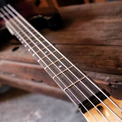 Sawtooth Left-Handed EP Series Electric Bass Guitar with Gig Bag & Accessories, Vintage Burst w/ Tortoise Pickguard image 16