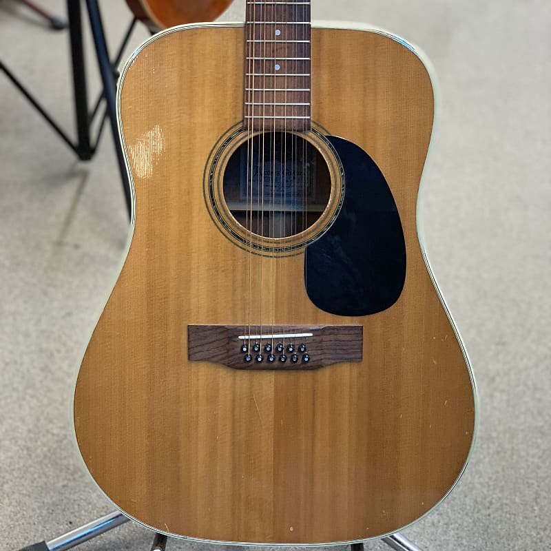 Alvarez 5054 12 string cheap