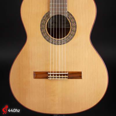 Paco Castillo 202 Classical Guitar w/ Gig Bag Student image 1