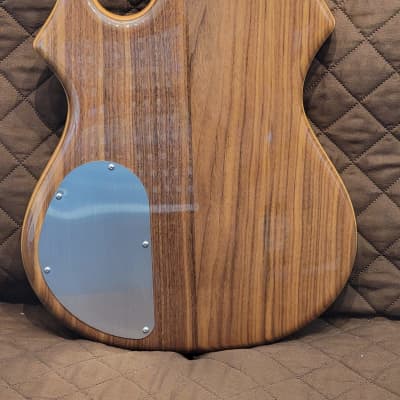 Eastwood Tiger Artist Series Maple w/Walnut Top & Back Body Set Neck C Shape 6-String Electric Guitar image 5