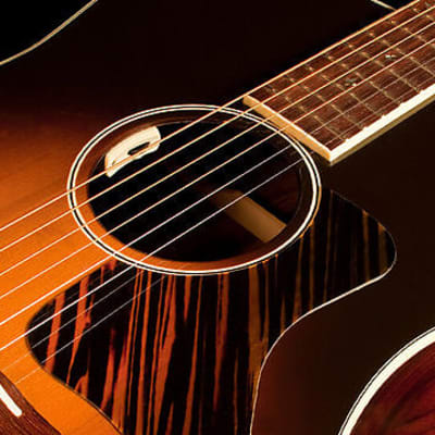LR Baggs Anthem SL Acoustic Guitar Pickup + Microphone image 3
