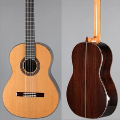 New World Player Model 640mm Guitar with Ported Sound Hole Upgrade, Cedar Top and Hard Case image 1