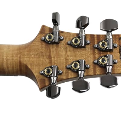 Paul Reed Smith Wood Library Custom 24 Quilt Top Burnt Maple Leaf Torrefied Maple Neck image 6