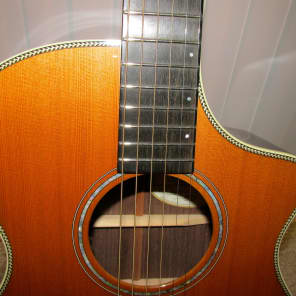 Breedlove American Series C25/CRe H Western Red Cedar Acoustic Electric Guitar L.R. Baggs Rosewood image 10