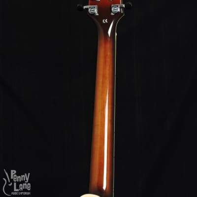 Gold Tone Mandocello with Dual Pickup System And Case image 6