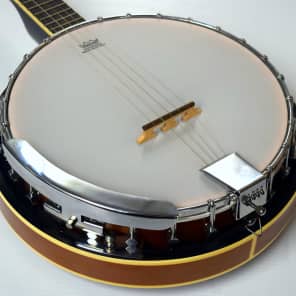 Davison 5 String Banjo Reverb