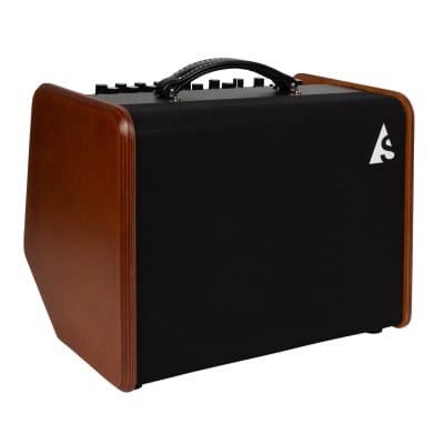 Godin Acoustic Solutions ASG-8 Natural 120 watts image 3