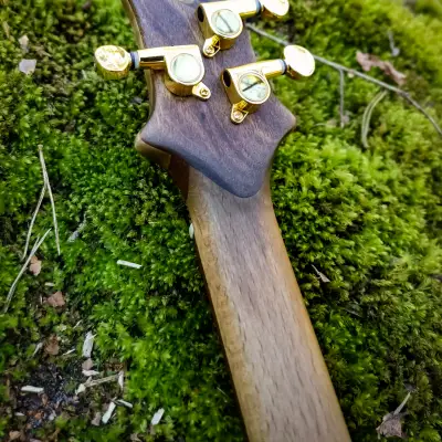 Immagine HighBird Handcrafted Instruments - Northern Goshawk - Custom 3 String Acoustic/Electric Cigar Box Guitar (CBG) - 2022 - 12