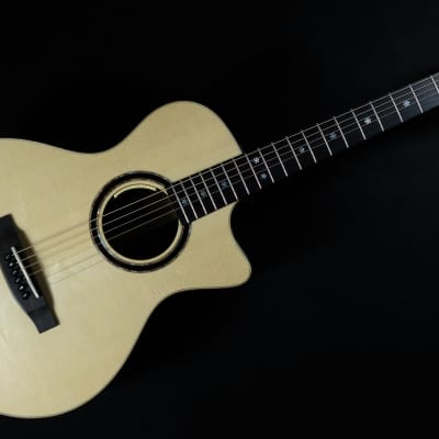 Lakewood A-32 CP | Auditorium Model with cutaway and pickup system image 4