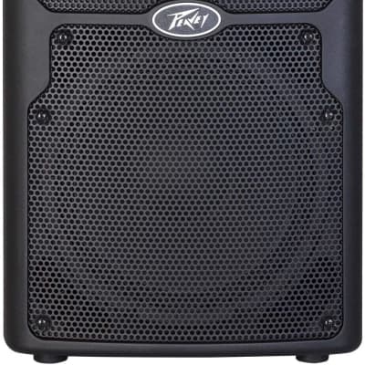 Peavey pv215d 2024 powered speaker